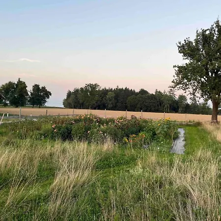 Lisi Grun Tiny House By Tiny Away