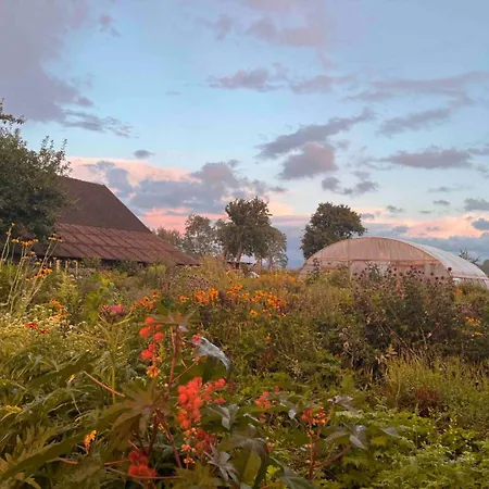 Lisi Grun Tiny House By Tiny Away *