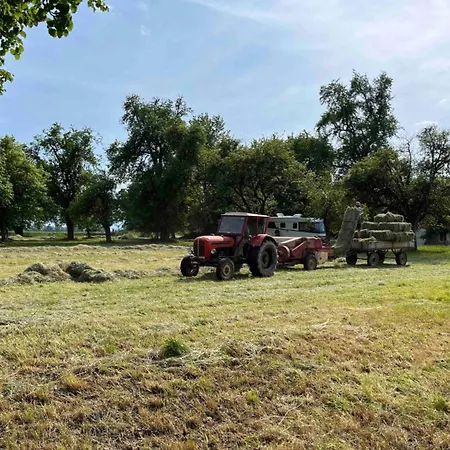 Lisi Grun Tiny House By Tiny Away * Sattledt
