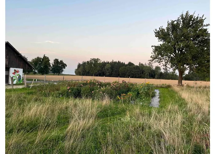 Lisi Grun Tiny House By Tiny Away