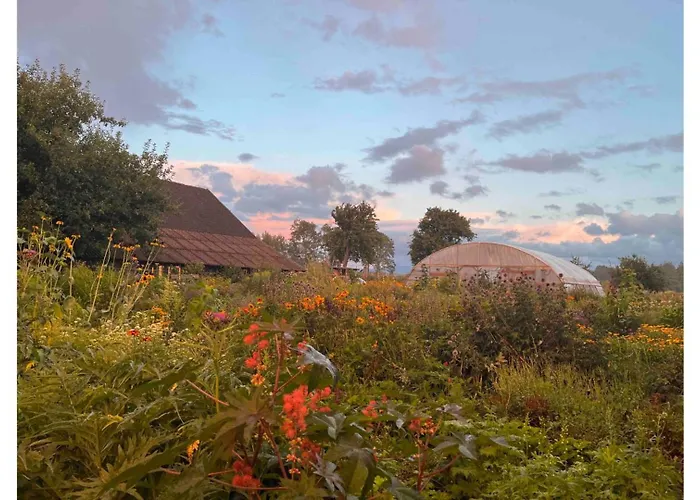 Lisi Grun Tiny House By Tiny Away *