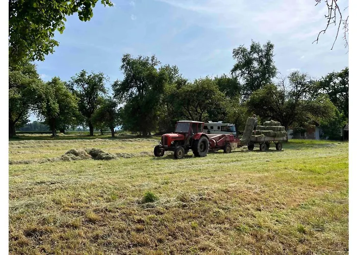 Lisi Grun Tiny House By Tiny Away * ザットレット