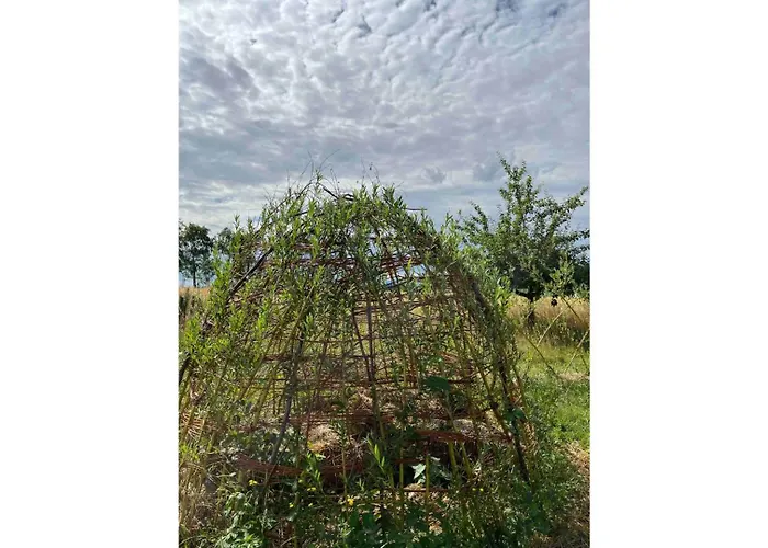 Lisi Grun Tiny House By Tiny Away *