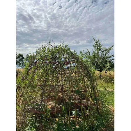 Lisi Grun Tiny House By Tiny Away *