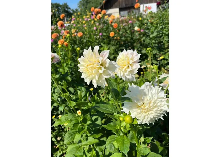 Lisi Grun Tiny House By Tiny Away *