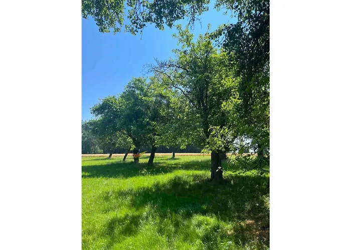 Σπίτι διακοπών Lisi Grun Tiny House By Tiny Away *